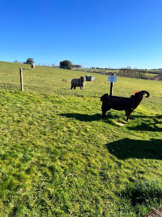 King Richard'S Luxury Lodge - Sleeps Up To 8 ,Dog Friendly ,Near Sherwood Forest At Fairview Farm In Nottingham Set In 88 Acres And Great For Groups,Family Gatherings,Corporate Events Exteriér fotografie